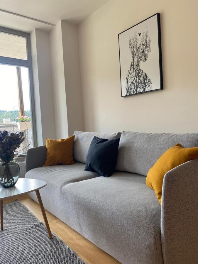 Luxusni Apartman U Sjezdovek S Garazi Harrachov Extérieur photo